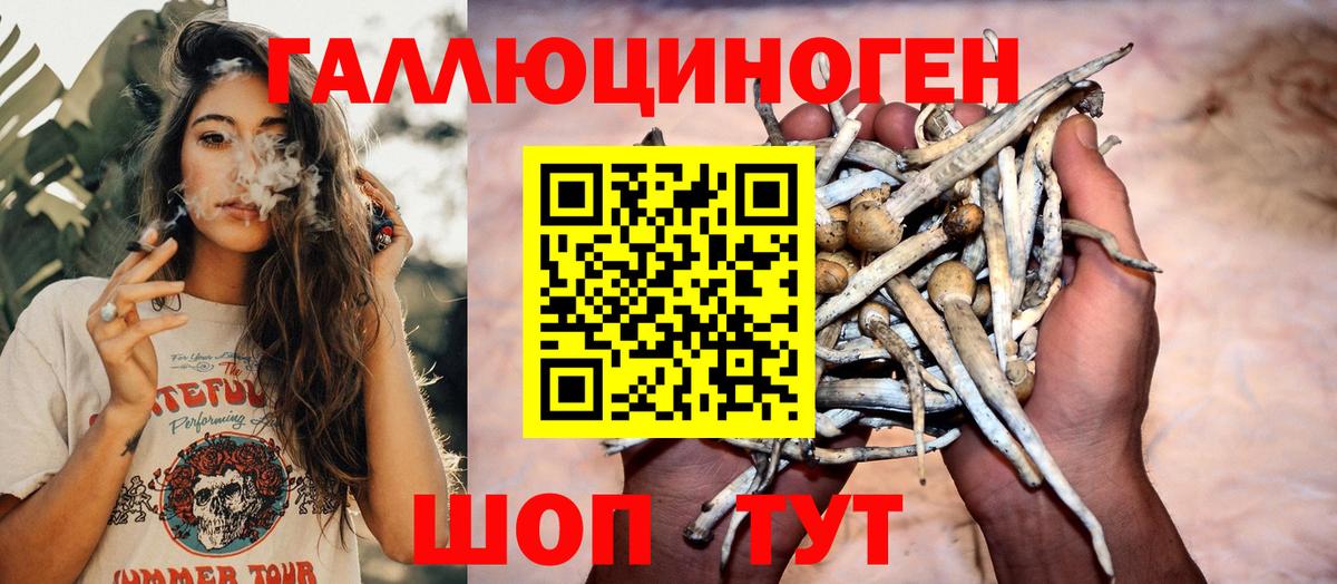 Галлюциногенные грибы прущие грибы Вятские Поляны