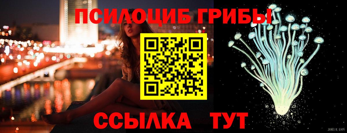 Вятские Поляны  Псилоцибиновые грибы мицелий  Вход с VPN 