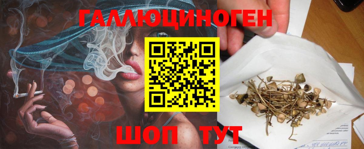 Псилоцибиновые грибы прущие грибы Вятские Поляны