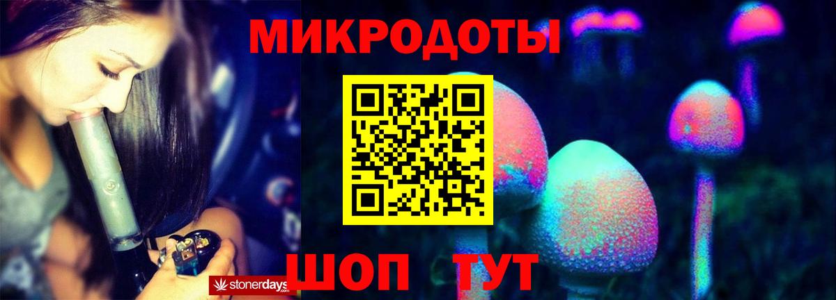 Вятские Поляны  Псилоцибиновые грибы Psilocybine cubensis  Вход с VPN 